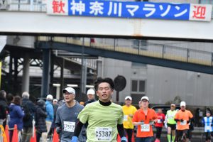 写真 241