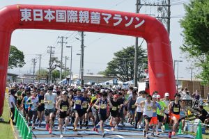 写真 299